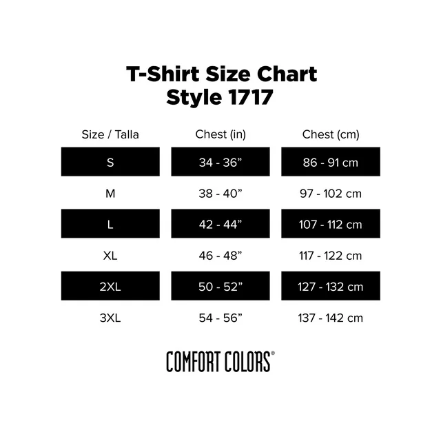 [P5] SMT - "Demon Summoning Program" [2-Sided] T-Shirt [Comfort Colors 1717]